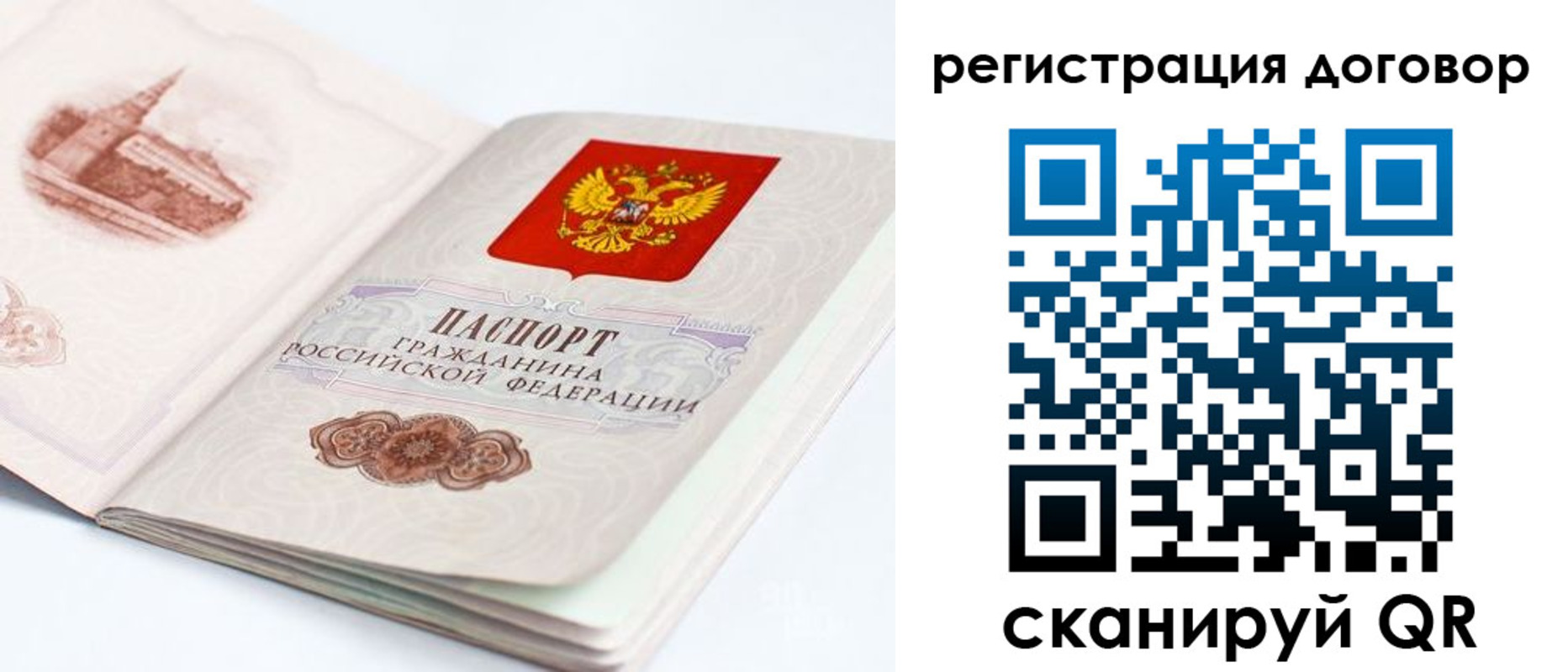 прописка иностранных граждан в Светлогорске