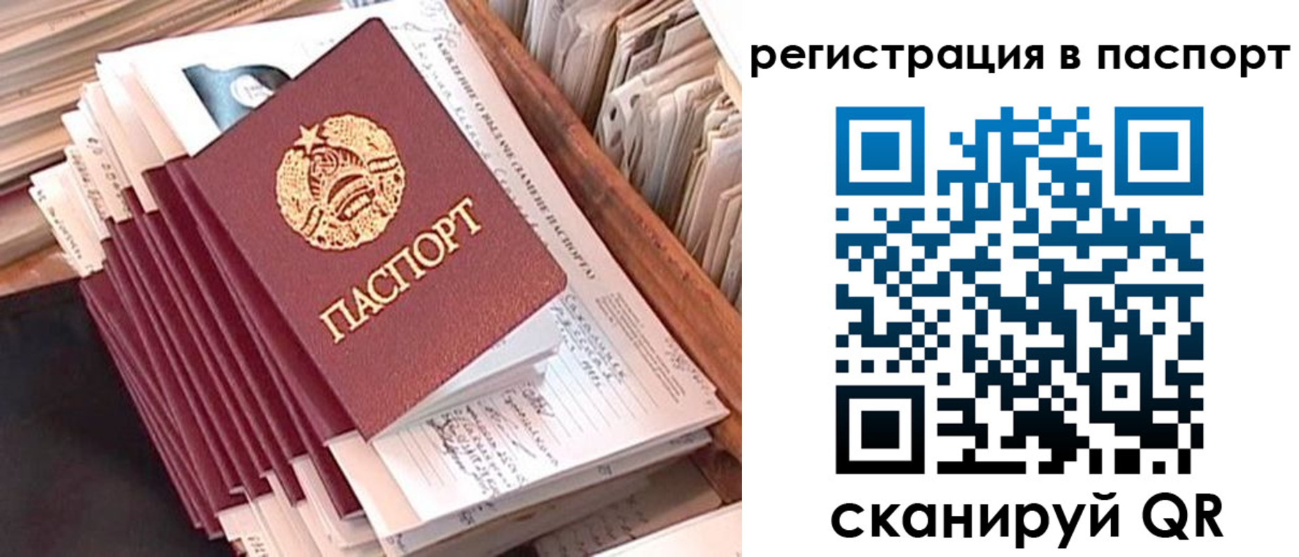 временная регистрация 2025 в Светлогорске